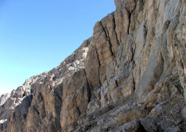 Vertical P - Disbosco e Disgaggio